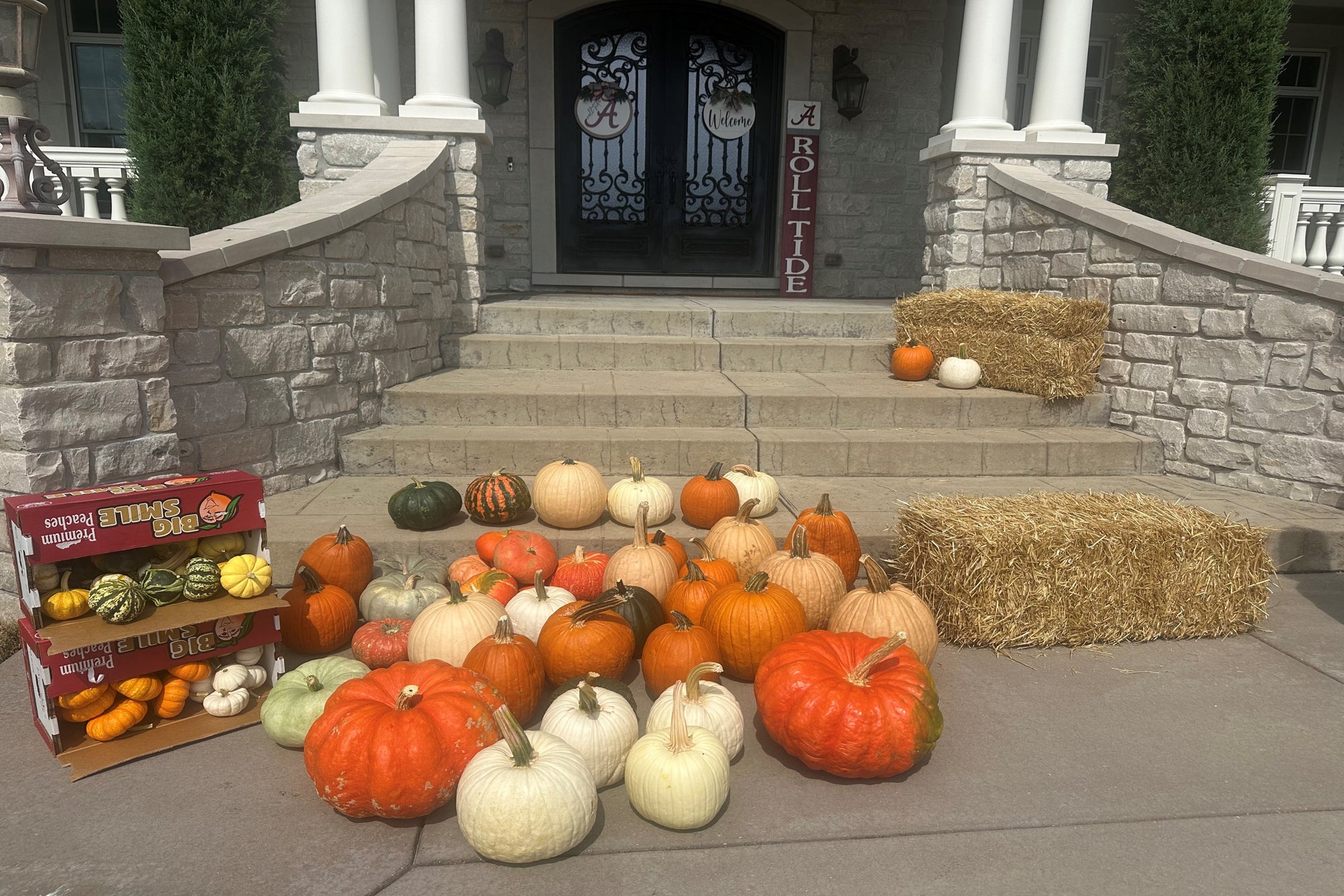 Premier Porch